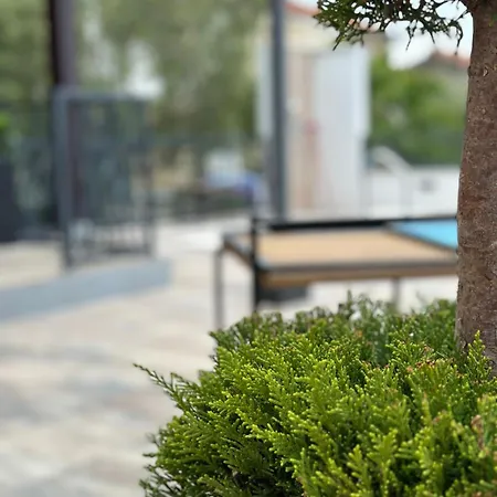 Villa Michelle Pakoštane